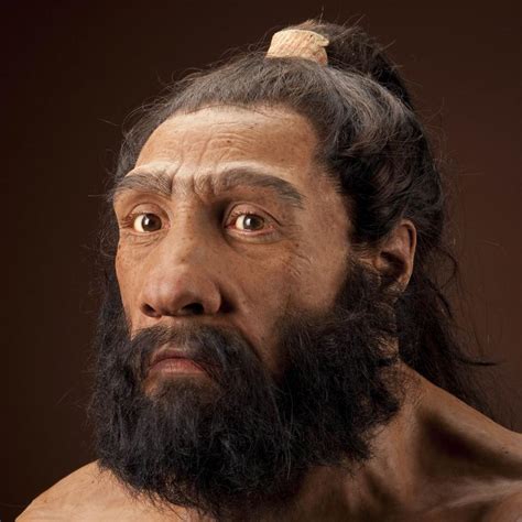 Neanderthals brabet